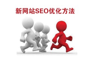 十堰SEO淺析新站SEO優(yōu)化方法