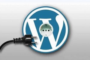 WORDPRESS頁(yè)面?zhèn)戊o態(tài)怎么設(shè)置利于SEO優(yōu)化