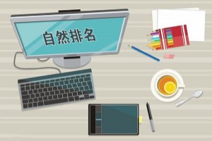 百度自然排名優化規律淺析