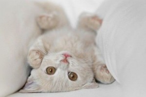 超拽的QQ說(shuō)說(shuō)：別隱身了，我老早就把你刪了