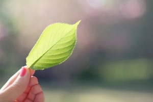 經典感情說說：我若在你心上，情敵三千又何妨