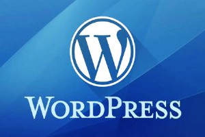 WORDPRESS主機(jī)空間如何搭建網(wǎng)站?